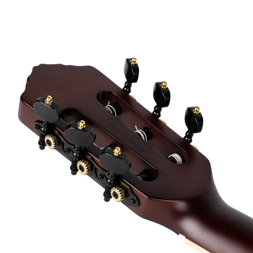 Ortega TourPlayer Series (Acacia Burst) Electric Nylon Guitar + Gig Bag (RTPDLX-ACA)