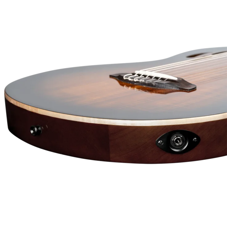 Close-up of a guitar's body with a brand logo on a white background