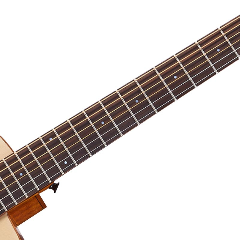 Close-up of a guitar neck with frets and strings on a white background